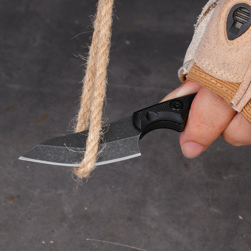 5CR15 Stainless Steel Small Fi - огляд і ціна Edc Carry Fixed Blade Knife